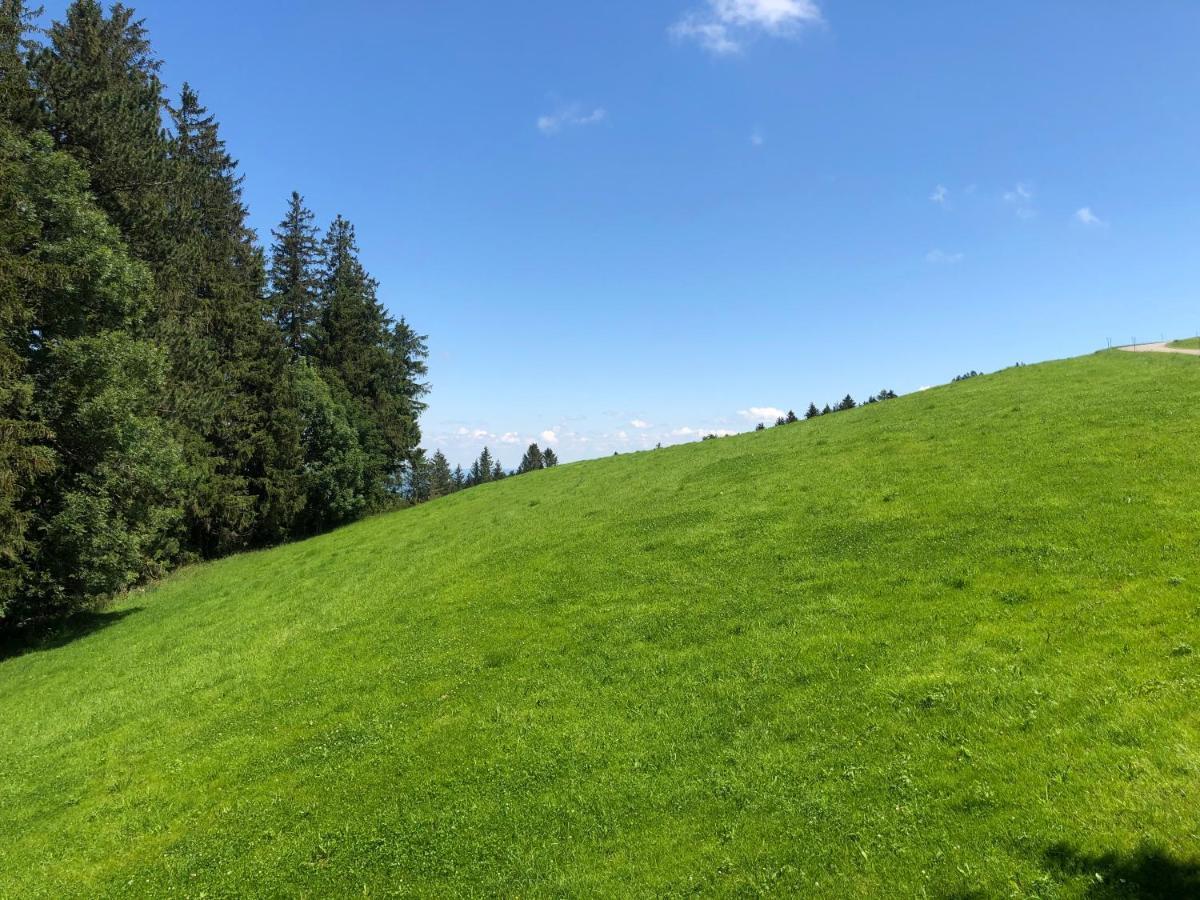 Hirschen Wald - Gasthaus & Baeckerei 외부 사진