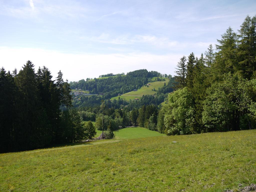 Hirschen Wald - Gasthaus & Baeckerei 외부 사진